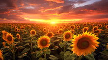 Sunflowers In A Field At Sunset With A Cloudy Sky - Generative AI
