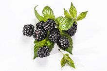 Ripe Blackberries With Leaves