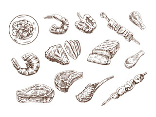a set of hand-drawn sketches of different types of meat, steaks, shrimp, chicken, grilled vegetables