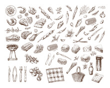 A Set Of Hand-drawn Sketches Of Barbecue And Picnic Elements. For The Design Of The Menu Of Restaurants And Cafes, Grilled Food. Doodle Vintage Illustration. Engraved Image.