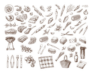 a set of hand-drawn sketches of barbecue and picnic elements. for the design of the menu of restaura