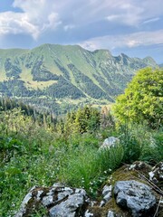 Wall Mural - Haute-Savoie