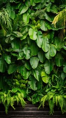 Bali style template green background, exotic tropical wall with green palm and banana leaves and atmospheric sunlight rays.