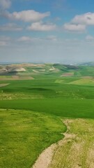 Wall Mural - Aerial landscape with hilly agricultural fields in Morocco, Africa. Vertical video