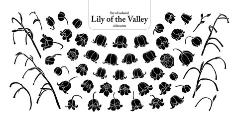 Wall Mural - Cute hand drawn isolated silhouatte of lily of the valley on transparent background png file..