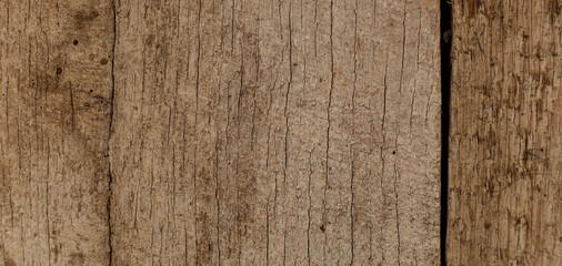  The texture of an old cracked wooden beam panorama