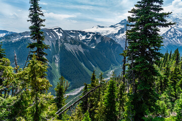 Wall Mural - Mountain River Landscape