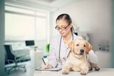 Fototapeta Zwierzęta - Young Veterinarian Petting a Dog in clinic