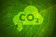 canvas print picture - CO2 and Climate change concept on a leaf