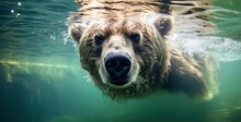 Bear's Graceful Underwater Journey - Generative Ai