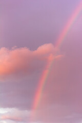 Wall Mural - landscape with rainbow and pink cloud on cloudy evening sky