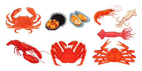 Wall Mural - seafood on a white background