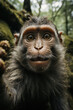 monkey selfie taken with hand in jungle, wallpaper background image, wildlife