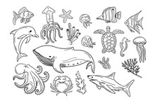 Big Set Of Hand Drawn Doodle Sea Creatures. Vector Isolated Black Sketches On White Background. Unique Hand Drawn Design. Idealt For Coloring Pages, Tatoo, Wrapping Paper, Pattern, Background