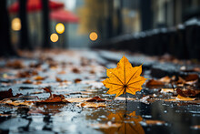 Yellow Maple Leaf In Puddles Of Rain On The Street In Autumn