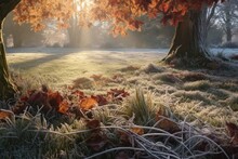 Morning Frost On Grass With Autumn Leaves Scattered Around, Created With Generative Ai
