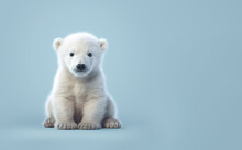 Cute Fluffy Polar Bear Baby Sitting On Pastel Blue Background. Copy Space. Generative AI.