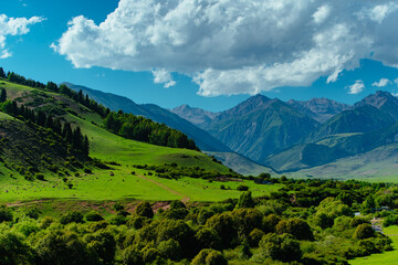 Sticker - Picturesque mountain landscape in summer