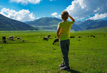 Poster - Boy standing in a meadow in the mountains looking at grazing farm animals