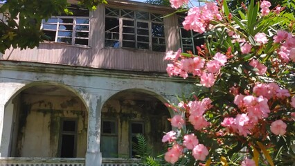 Canvas Print - An old abandoned house outside the city in the summer.