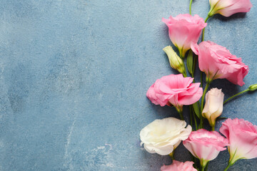 Wall Mural - Beautiful pink eustoma flowers on blue background