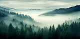 Fototapeta Las - Dark Misty green forest, with mountains covered in fog in the background.
