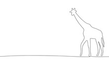 Giraffe One Line Continuous Vector Illustraiton. Concept Animal Zoo Banner. Line Art, Outline Silhouette