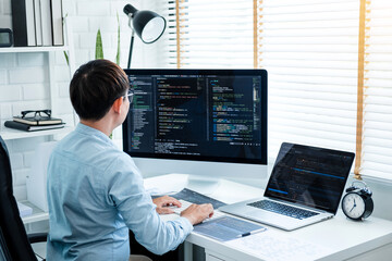 Wall Mural - developing programmer development website design and coding technologies working in software company