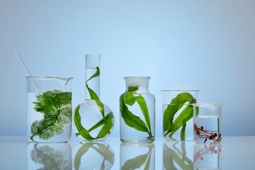 Wall Mural - Science advertising laboratory background featured different types of glassware of seaweed and water arranged in a line. Seaweed help cleansing and detoxing your skin