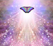 Spiritual Butterfly Holistic message memo background - multicoloured  butterfly against a wispy magenta peach blue sparkling background flying up into the light and copy space for text
