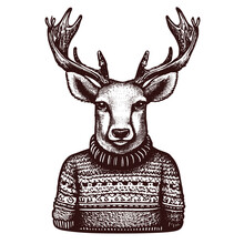 Deer Wearing A Sweater Vintage Sketch