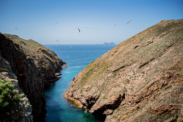 The stunning view from the top cliff of  Berlengas islet with thousands of signals flying all around, Portugal