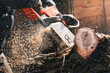 Close-up of a man sawing a tree with a chainsaw with flying sawdust