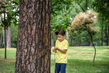 Wall Mural - Boy 7-9 years old white Caucasian looks attentively at the tree