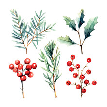 Retro Christmas Branch Set Watercolor, Great Design For Any Purposes. Vector Botanical Illustration.