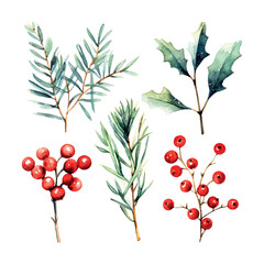 Sticker - Retro christmas branch set watercolor, great design for any purposes. Vector botanical illustration.