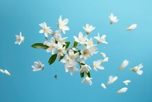 Jasmine Bloom. A Beautiful White Flowers Of Jasmine On Blue Background. AI Generative