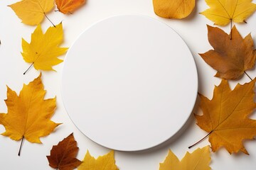 Wall Mural - Empty white round plate and yellow maple leaves on a white background.