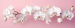 Orchids flowers background banner panorama - Beautiful blooming white orchid branch, (orchidaceae), isolated on pink table background, top view (Generative Ai)