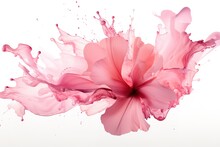 Close Up View Of Pink Flower And Paint Splash Isolated On White