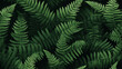 © B-Ast-BRT - green fern background