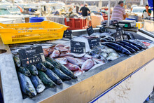 Freshly Caught Fish, Mackerel, Sea Bream And Dorade Bass On Display At The Fish Market In The Old Town Or Vieil Antibes, South Of France