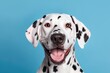Happy puppy dog smiling on isolated background Portrait, AI