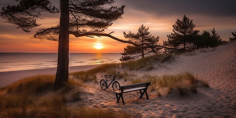 Wall Mural - sandy dunes on baltic beach,sunset on beach ,pine trees,sun reflection on se water ,wooden bench and