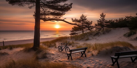 Wall Mural - sandy dunes on baltic beach,sunset on beach ,pine trees,sun reflection on se water ,wooden bench and