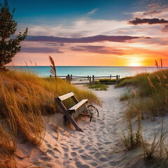 Wall Mural - sandy dunes on baltic beach,sunset on beach ,pine trees,sun reflection on se water ,wooden bench and