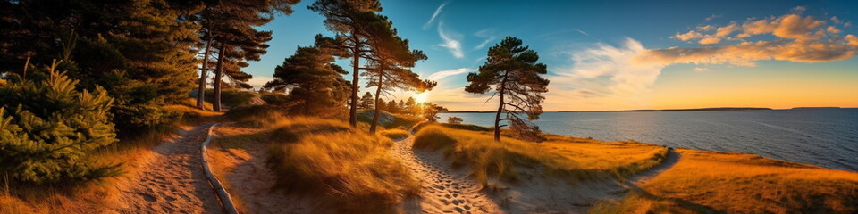 Wall Mural - sandy dunes on baltic beach,sunset on beach ,pine trees,sun reflection on se water ,wooden bench and
