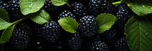 Fresh Blackberries Banner. Blackberry Background. Close-up Food Photography