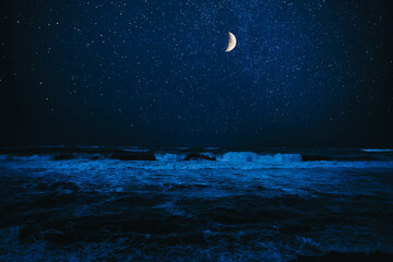 Wall Mural - Crescent moon in starry sky over sea at night