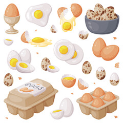 Sticker - Fresh Raw Eggs and Cooked Boiled with Yellow Yolk Vector Set